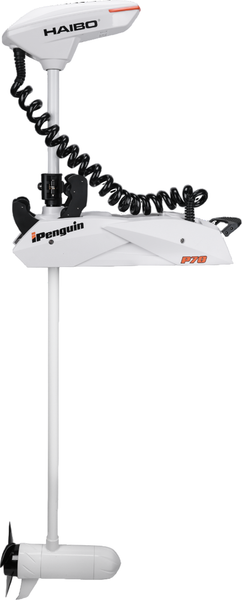 Изображение товара Мотор лодочный Haibo iPenguin P70 12V