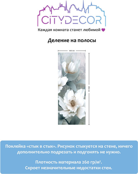 Изображение товара Фотообои листовые Citydecor Абстракция 41 (100x260см)