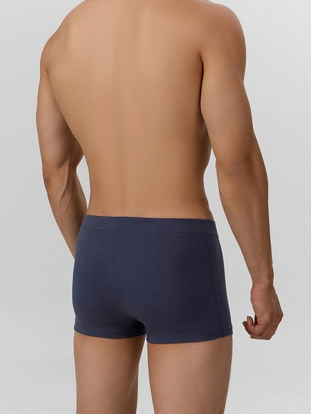 Изображение товара Трусы мужские Mark Formelle 411229 (р.90-100, гроза)