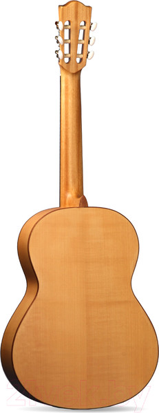 Изображение товара Акустическая гитара Alhambra 2F