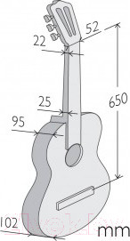 Изображение товара Акустическая гитара Alhambra 2F