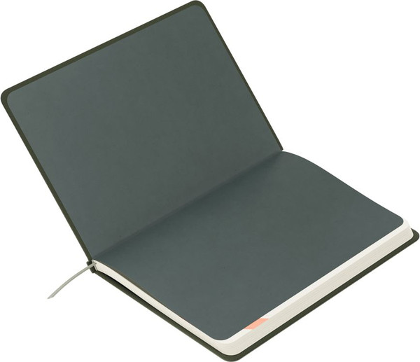 Изображение товара Еженедельник BG Palm. Dark khaki B5 / Wu_62168 (64л)