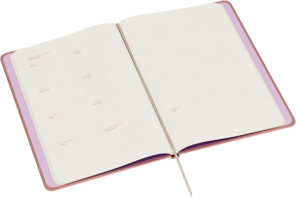 Изображение товара Еженедельник BG Palm. Ecru pink B5 / Wu_62167 (64л)