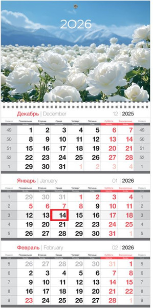 Изображение товара Календарь настенный BG Белые розы / 380914 (2026г)
