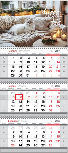 Изображение товара Календарь настенный BG Кот / 380941 (2026г)
