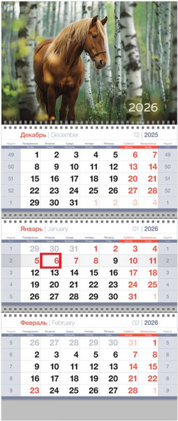 Изображение товара Календарь настенный BG Березовая роща / 380974  (2026г)