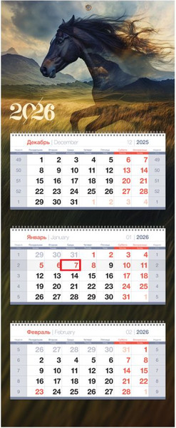 Изображение товара Календарь настенный BG Свободный дух / 380970 (2026г)