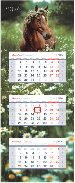 Изображение товара Календарь настенный BG Ромашковое поле / 380979 (2026г)
