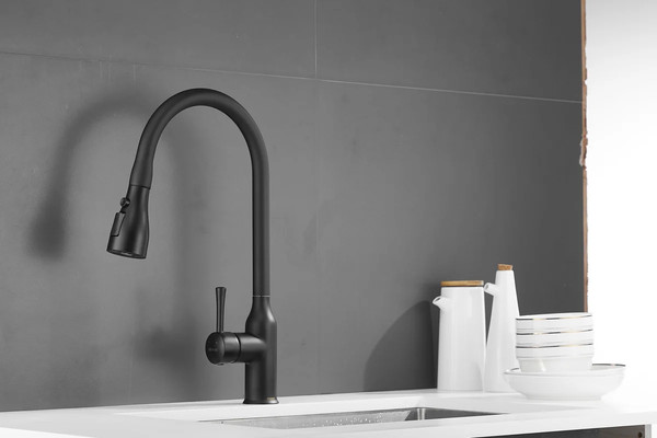 Изображение товара Смеситель Shevanik S163H (черный)