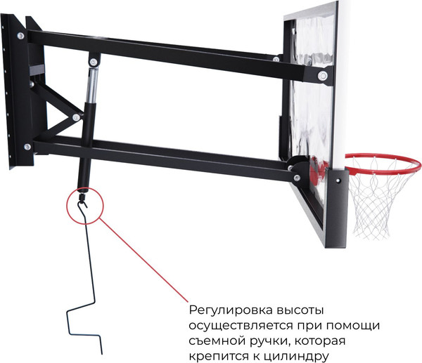 Изображение товара Баскетбольный щит DFC TG12MM180