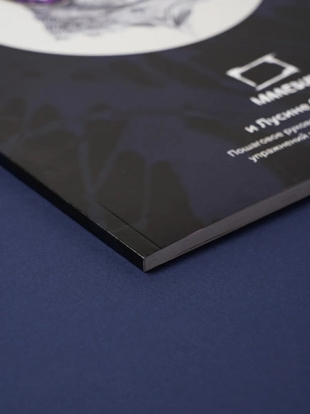 Изображение товара Книга Малевичъ Самоучитель по рисованию чернилами / 195370