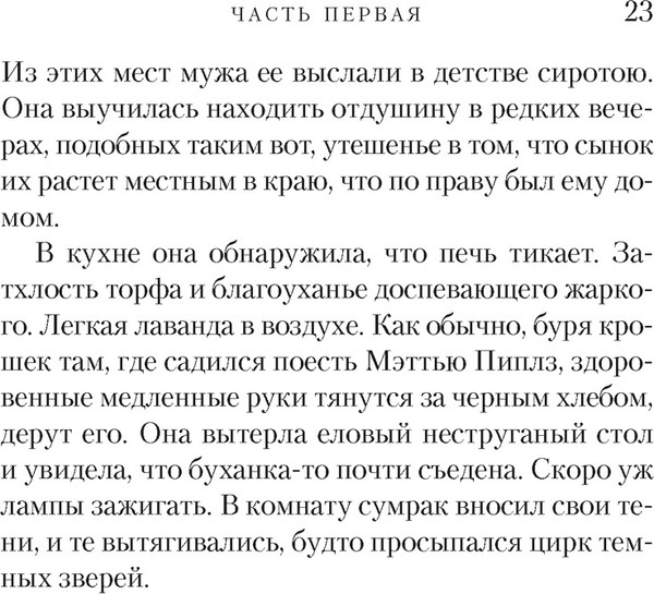 Изображение товара Книга Азбука Черный снег, твердая обложка (Линч Пол)
