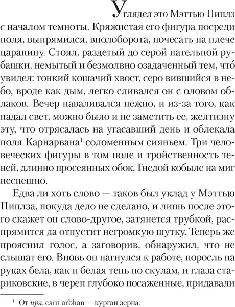 Изображение товара Книга Азбука Черный снег, твердая обложка (Линч Пол)