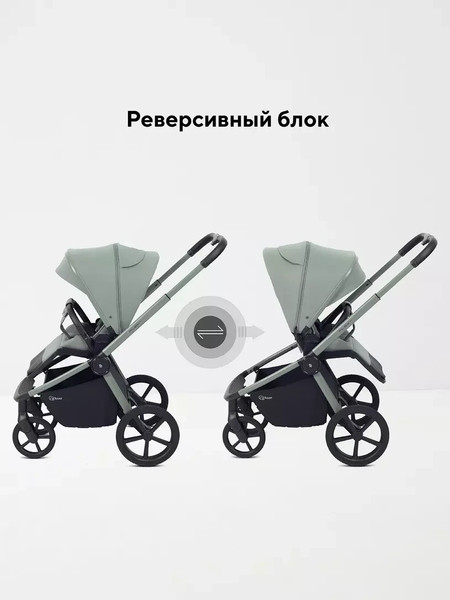 Изображение товара Детская универсальная коляска Rant Flex Therm 2в1 / RA112 (Forest Green)