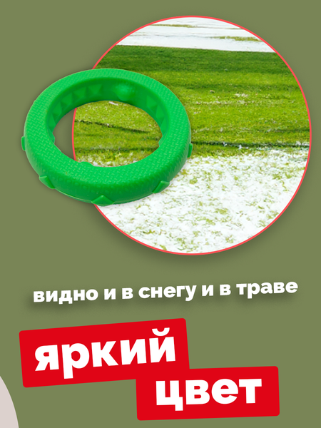 Изображение товара Игрушка для собак ZOONIK Кольцо плавающее / 164160-36 (салатовый)