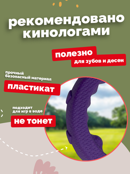 Изображение товара Игрушка для собак ZOONIK Кольцо плавающее / 164160-07 (фиолетовый)