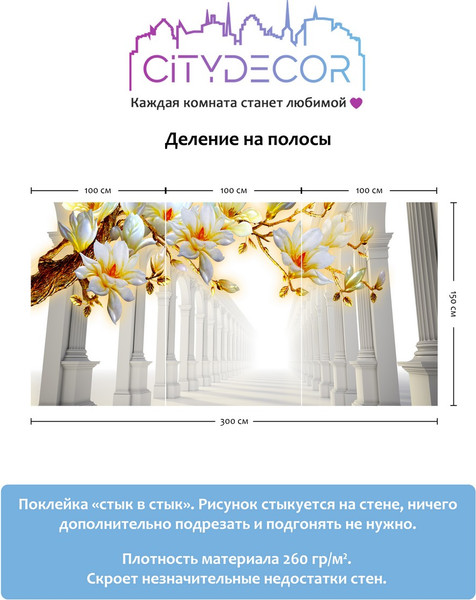 Изображение товара Фотообои листовые Citydecor Абстракция 47 (300x150см)