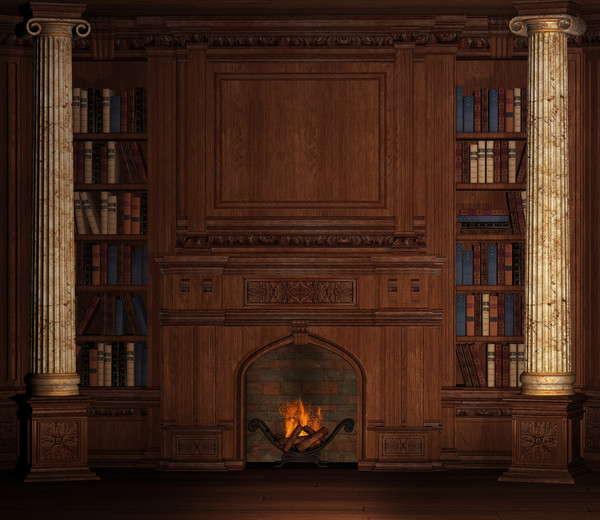 Изображение товара Фотообои листовые Citydecor Абстракция 409 (300x260см)