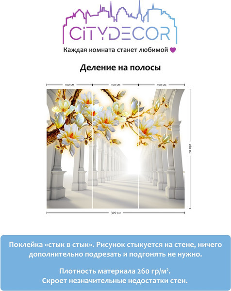 Изображение товара Фотообои листовые Citydecor Абстракция 47 (300x260см)