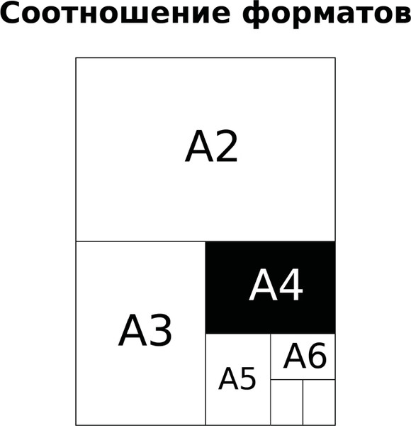 Изображение товара Тетрадь BG  Wonder / Т4ск80_тф 11202 (80л)