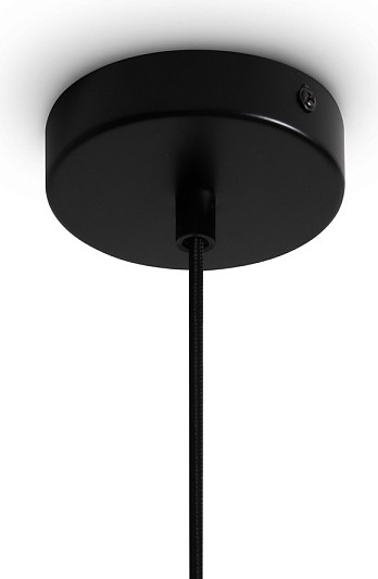 Изображение товара Потолочный светильник Freya Terra FR5582PL-01W