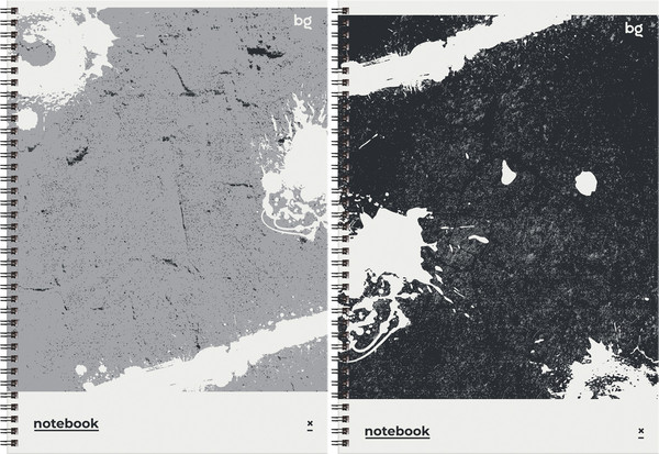 Изображение товара Тетрадь BG Лофт / Т4гр96_лм 06564 (96л)