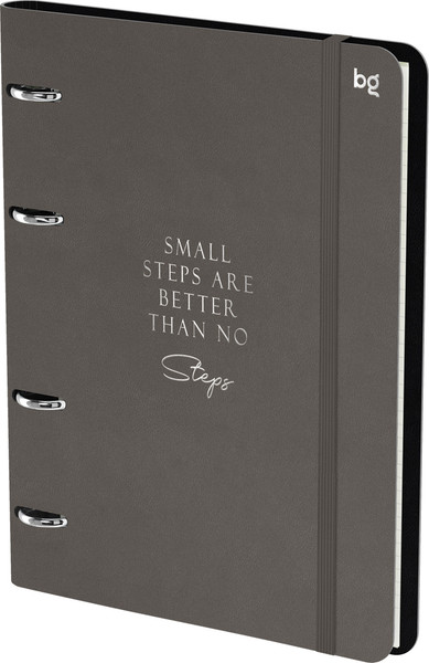 Изображение товара Тетрадь BG Моно.Коричневый / N5r120 59502  (120л)