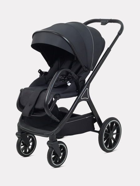 Изображение товара Детская универсальная коляска Rant Basic Terra 2 в 1 / RA163 (черный)