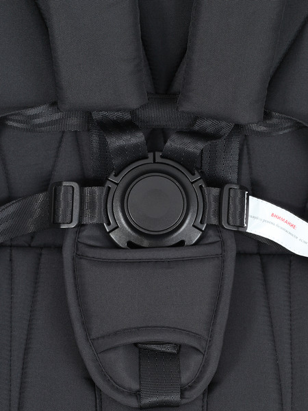 Изображение товара Детская универсальная коляска Rant Basic Terra 2 в 1 / RA163 (черный)