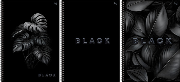 Изображение товара Тетрадь BG Just black / Т4гр96_лс_вл 08659 (96л)