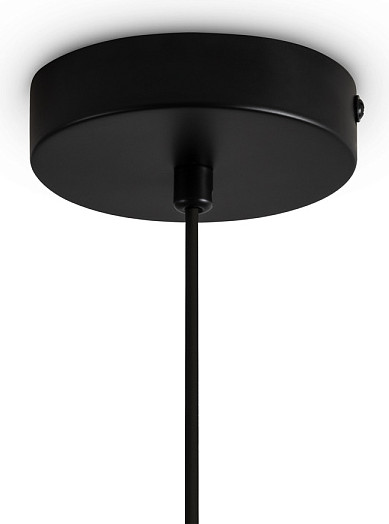 Изображение товара Потолочный светильник Freya Irisa FR5593PL-01B