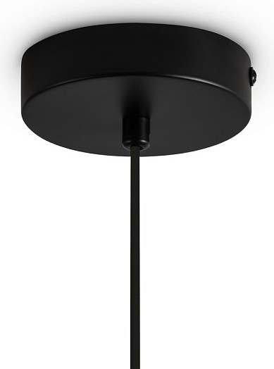 Изображение товара Потолочный светильник Freya Irisa FR5593PL-01B1