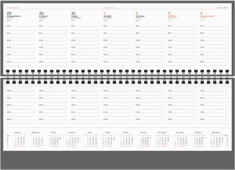 Изображение товара Планинг BG Python.Graphite 2026г / Pd_09645  (64л)