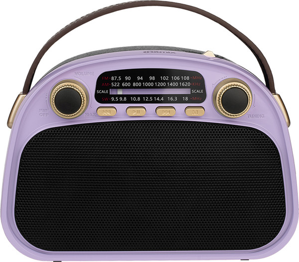 Изображение товара Радиоприемник Ritmix RPR-040 (лавандовый)