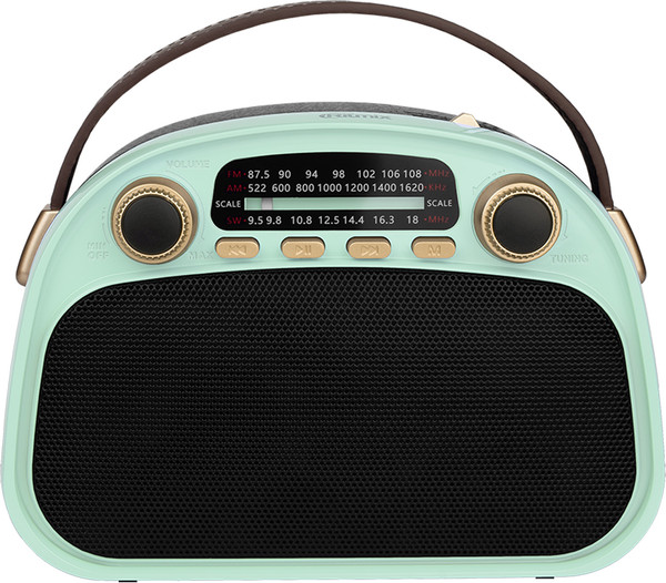 Изображение товара Радиоприемник Ritmix RPR-040 (мятный)