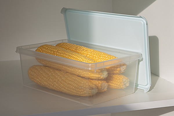 Изображение товара Контейнер Berossi Freshpak ИК 99989000 (голубой песок)