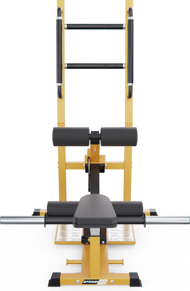 Изображение товара Силовой тренажер DFC Stonerise D005