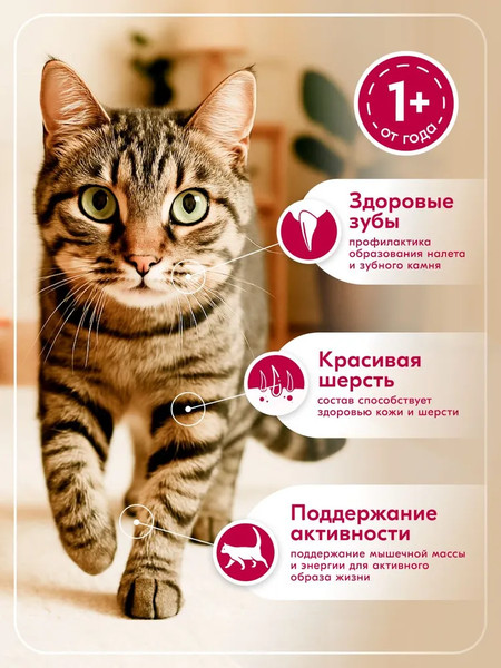 Изображение товара Сухой корм для кошек L'amour с говядиной (750г)