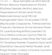 Миниатюра изображения товара Гель для ног Lamar Professional Bioton Биостимулирующий для улучшения тонуса кожи (85мл)