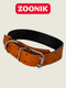Миниатюра изображения товара Ошейник ZOONIK Премиум классик / 10134-4 (апельсин)