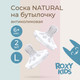 Миниатюра изображения товара Набор сосок ROXY-KIDS Natural / RBTL-006-L (2шт)