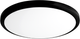 Миниатюра изображения товара Потолочный светильник Truenergy 11604