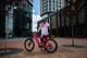 Миниатюра изображения товара Электровелосипед Alpinebike МТБ / ALPN_J23ES007_E_L_R (L, красный)