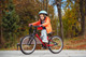 Миниатюра изображения товара Детский велосипед Alpinebike Pegas 3-20 / TSRD00174600 (рассветный оранжевый, разобранный, в коробке)