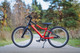 Миниатюра изображения товара Детский велосипед Alpinebike Pegas 3-20 / TSRD00174600 (рассветный оранжевый, разобранный, в коробке)