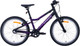 Миниатюра изображения товара Детский велосипед Alpinebike Pegas 3-20 / TSRD00174601 (фиолетовый космос)