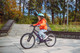 Миниатюра изображения товара Детский велосипед Alpinebike Pegas 3-20 / TSRD00174601 (фиолетовый космос)