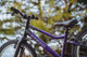 Миниатюра изображения товара Детский велосипед Alpinebike Pegas 3-20 / TSRD00174601 (фиолетовый космос)