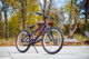 Миниатюра изображения товара Детский велосипед Alpinebike Pegas 3-20 / TSRD00174601 (фиолетовый космос)