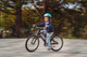 Миниатюра изображения товара Детский велосипед Alpinebike Pegas 3-20 / TSRD00174601 (фиолетовый космос)